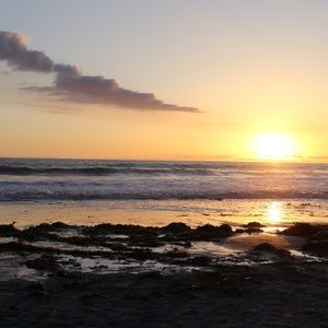 Meet your Posher, Janelle